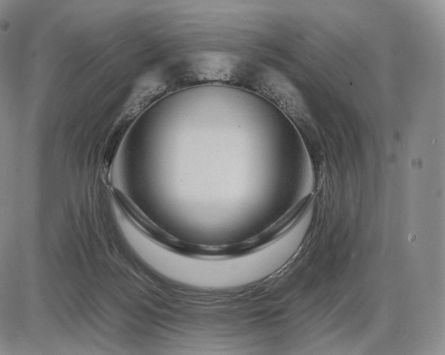 X0000085840172200703301654