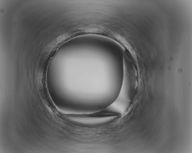 X0000085840201200703301653
