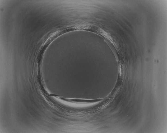X0000085840205200703301653