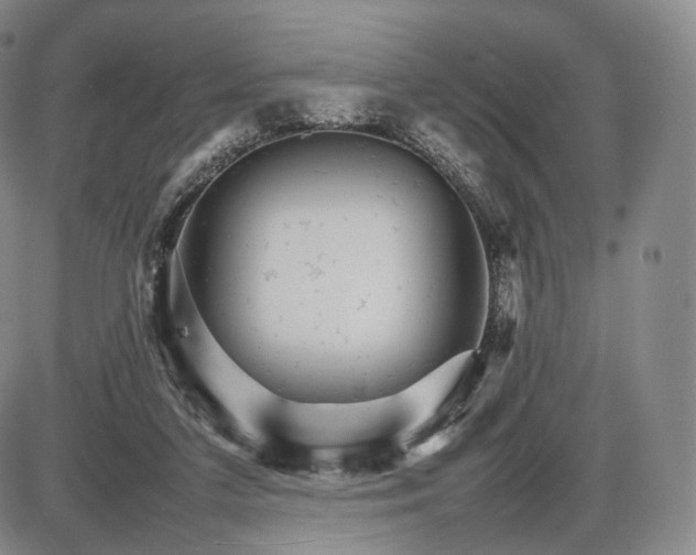 X0000085840211200703301653