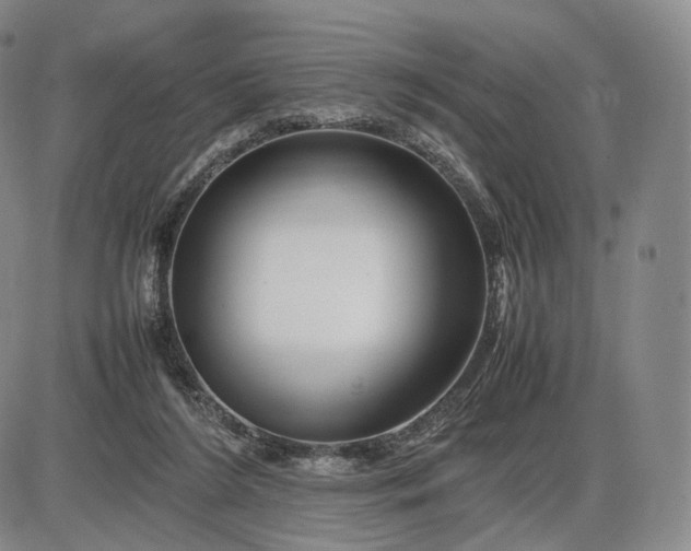 X0000085840212200703301653
