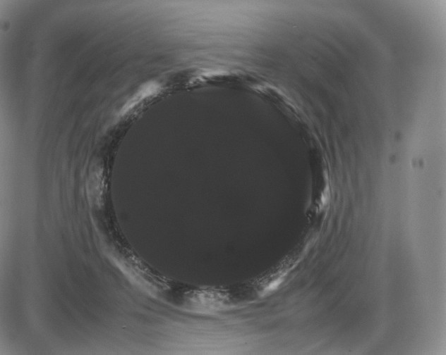 X0000085840223200703301653