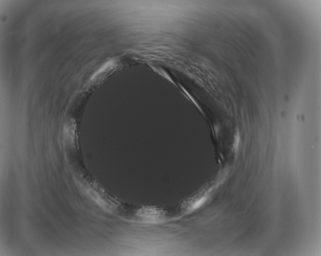 X0000085840231200703301653