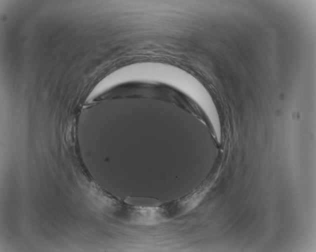 X0000085840233200703301653