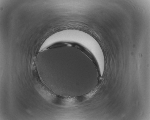 X0000085840237200703301653