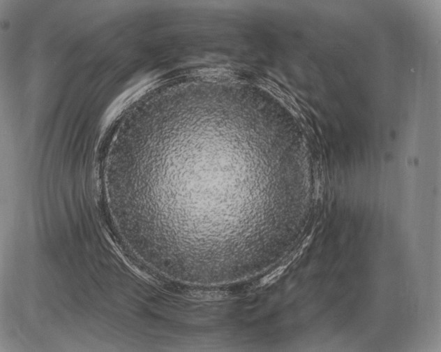 X0000085840245200703301652