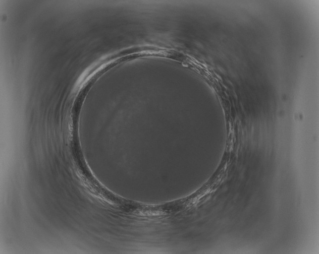 X0000085840247200703301652
