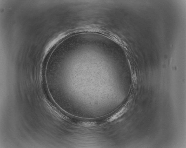 X0000085840248200703301652