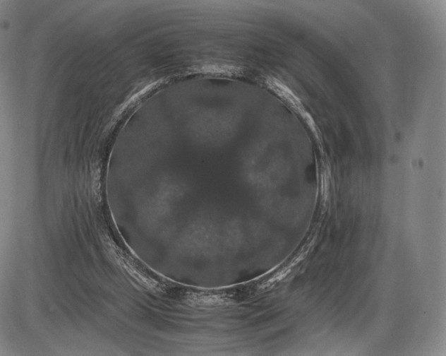 X0000085840249200703301652