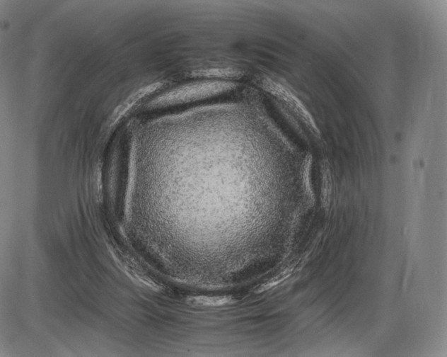 X0000085840251200703301652