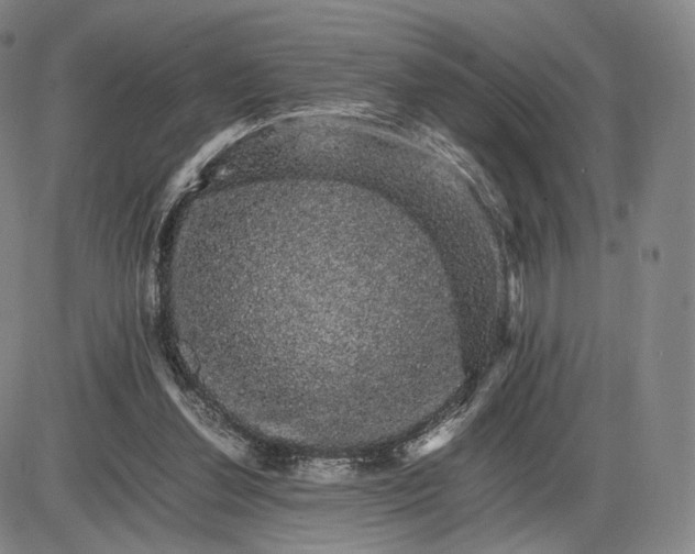 X0000085840252200703301652