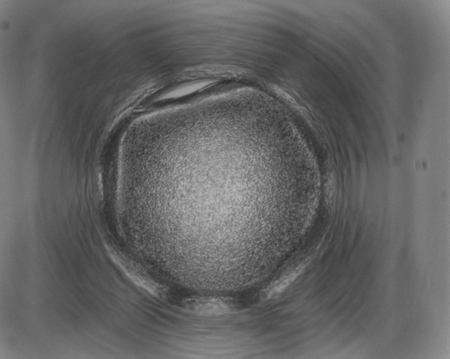X0000085840254200703301652