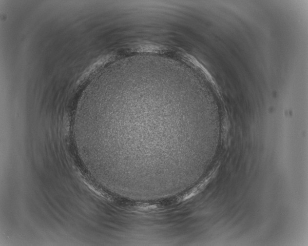 X0000085840257200703301652