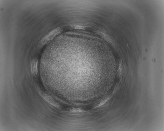 X0000085840262200703301652