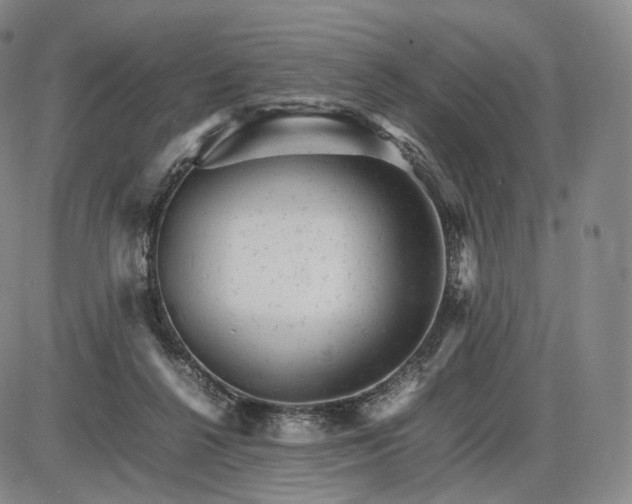X0000085840264200703301652