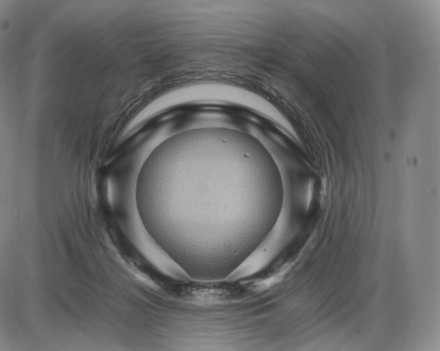 X0000085840268200703301652