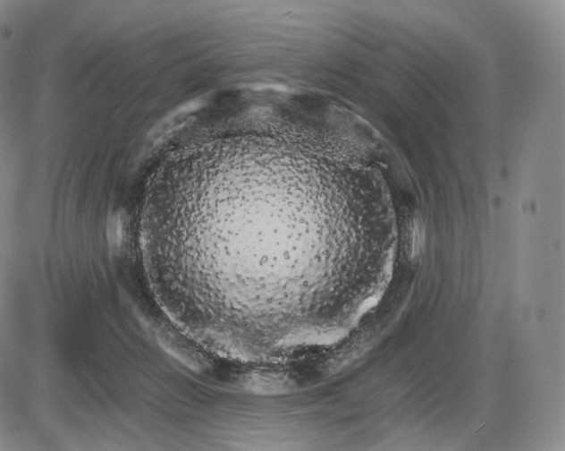 X0000085840270200703301652
