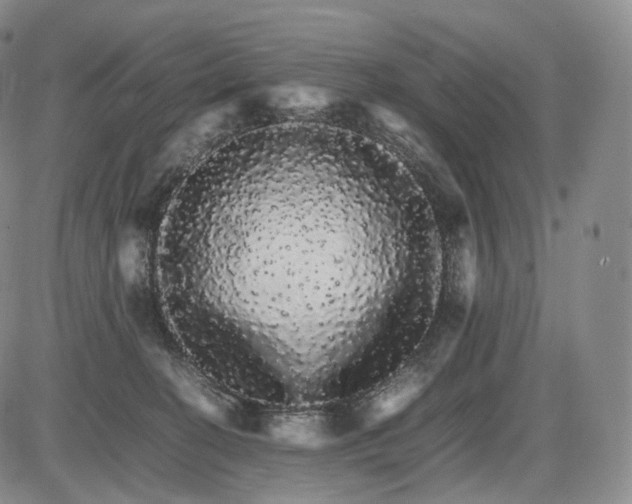 X0000085840274200703301652