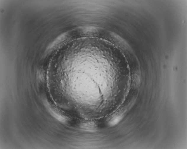 X0000085840278200703301652