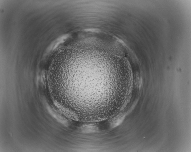 X0000085840280200703301652