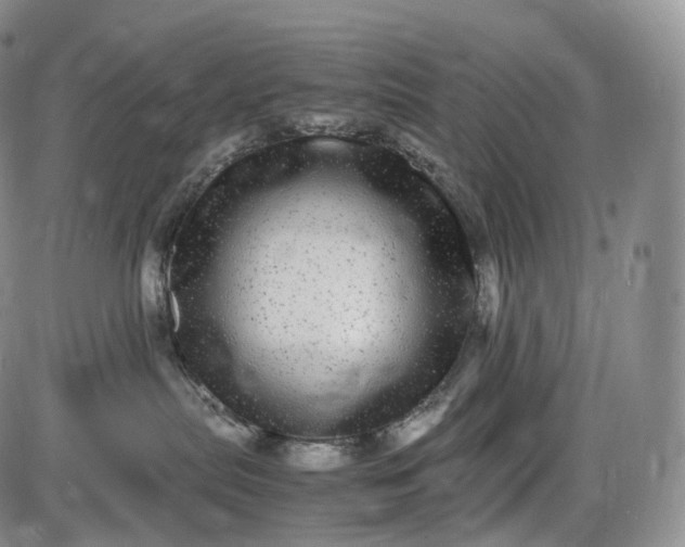 X0000085840287200703301653