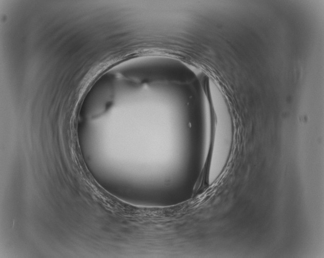 X0000085840289200703301652
