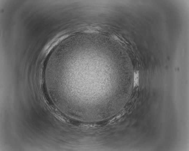 X0000085840291200703301652