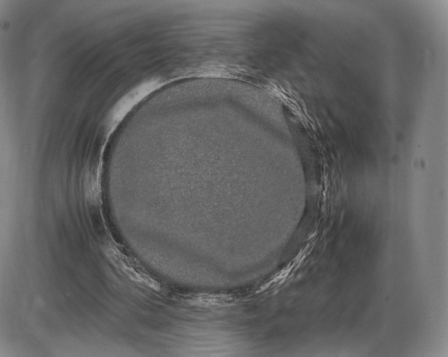 X0000085840292200703301652