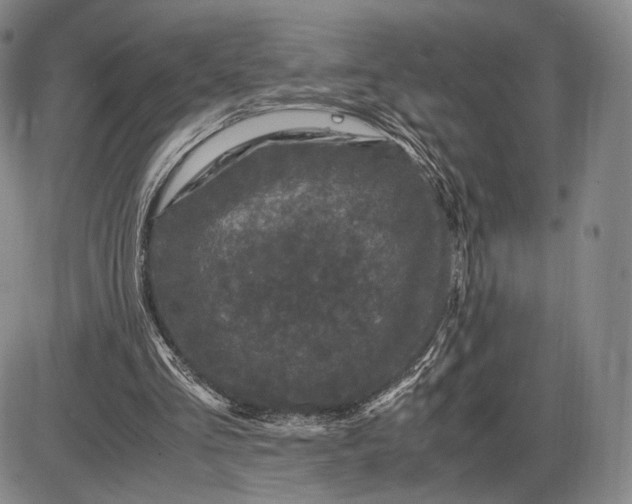X0000085840293200703301652