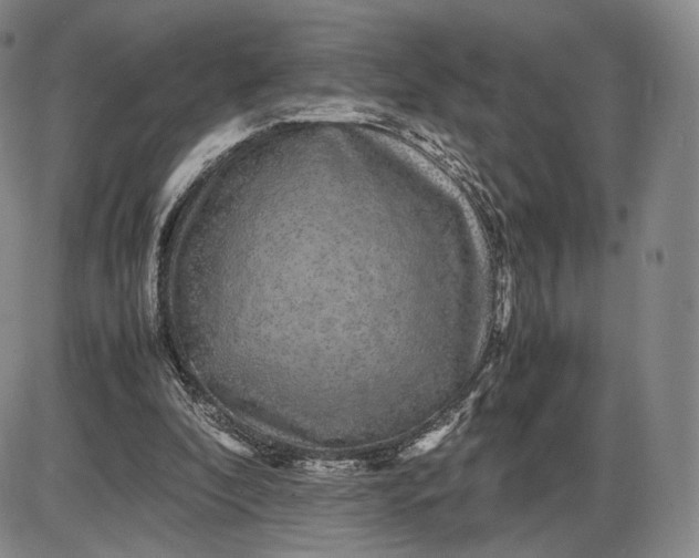 X0000085840296200703301652
