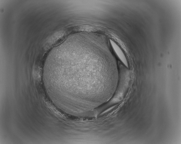 X0000085840305200703301651