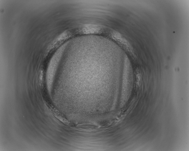 X0000085840308200703301651