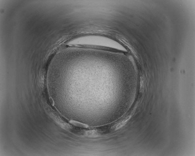 X0000085840309200703301651