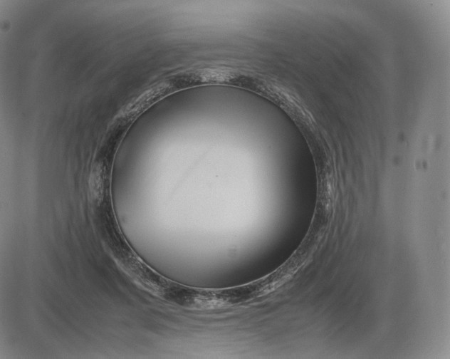 X0000085840311200703301651