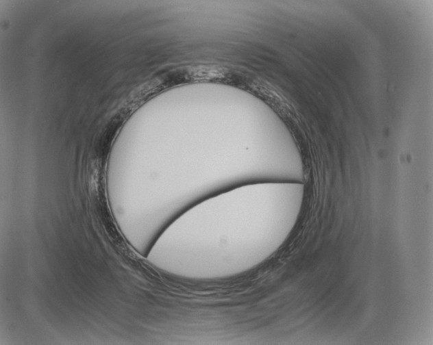 X0000085840315200703301651