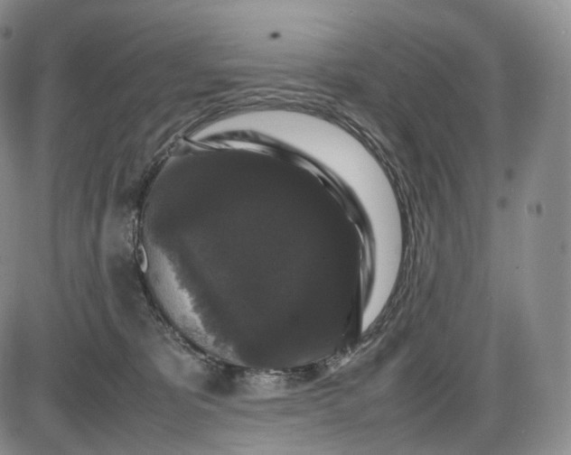 X0000085840325200703301651