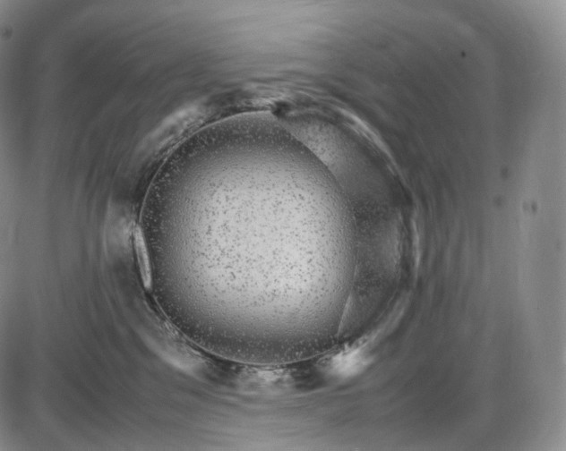 X0000085840329200703301651