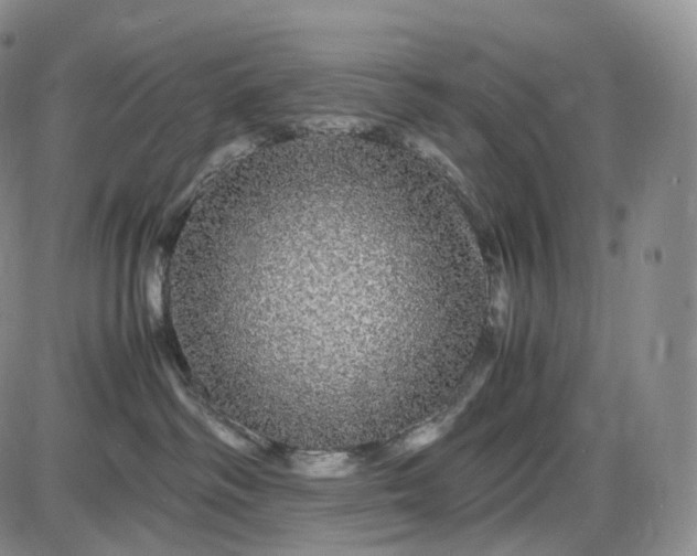 X0000085840334200703301651