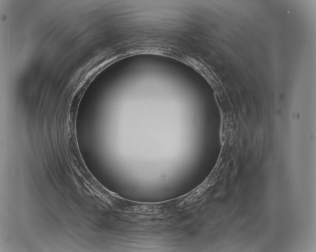 X0000085840338200703301650