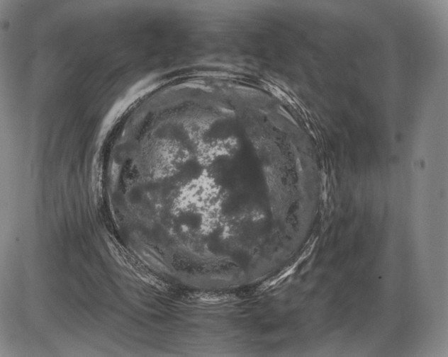 X0000085840343200703301650