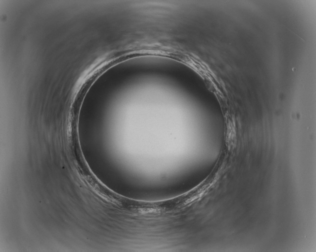 X0000085840344200703301650