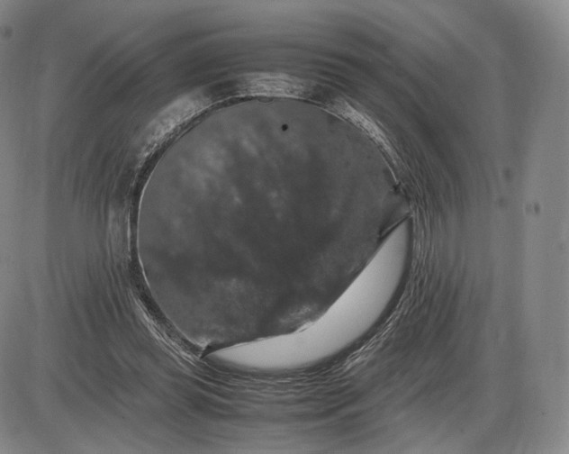 X0000085840349200703301650