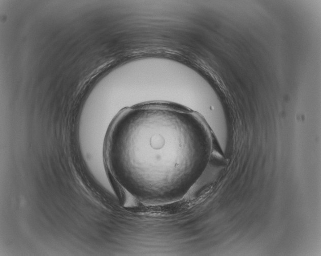X0000085840356200703301650