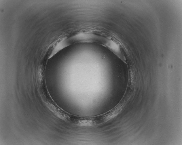 X0000085840362200703301651