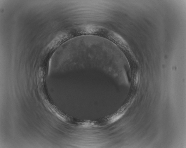 X0000085840366200703301651