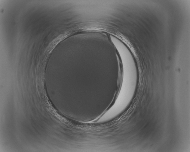 X0000085840385200703301650