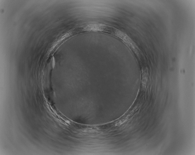 X0000085840386200703301650