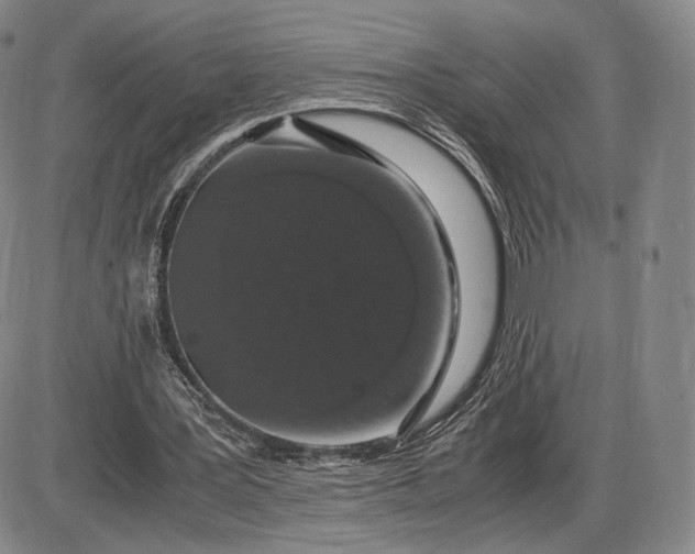 X0000085840387200703301650