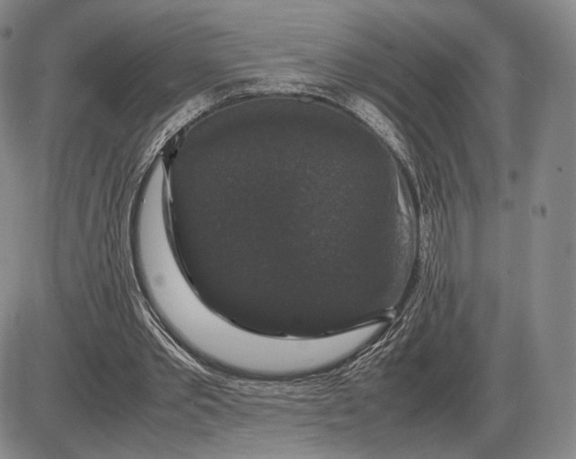 X0000085840389200703301650