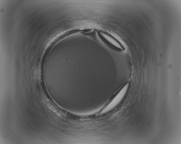 X0000085840391200703301650